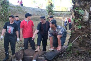 Read more about the article UIN FAS Bengkulu Gelar Pemotongan Hewan Kurban, Wujud Kepedulian dan Kebersamaan Civitas Akademika