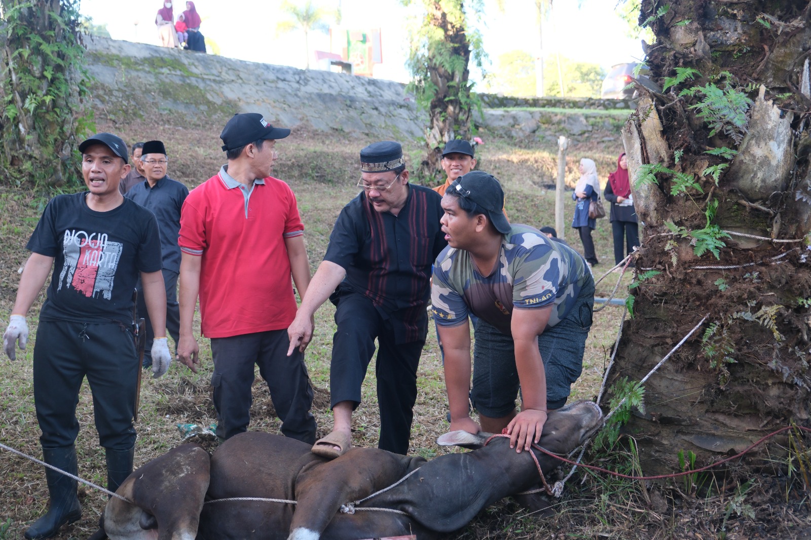 You are currently viewing UIN FAS Bengkulu Gelar Pemotongan Hewan Kurban, Wujud Kepedulian dan Kebersamaan Civitas Akademika